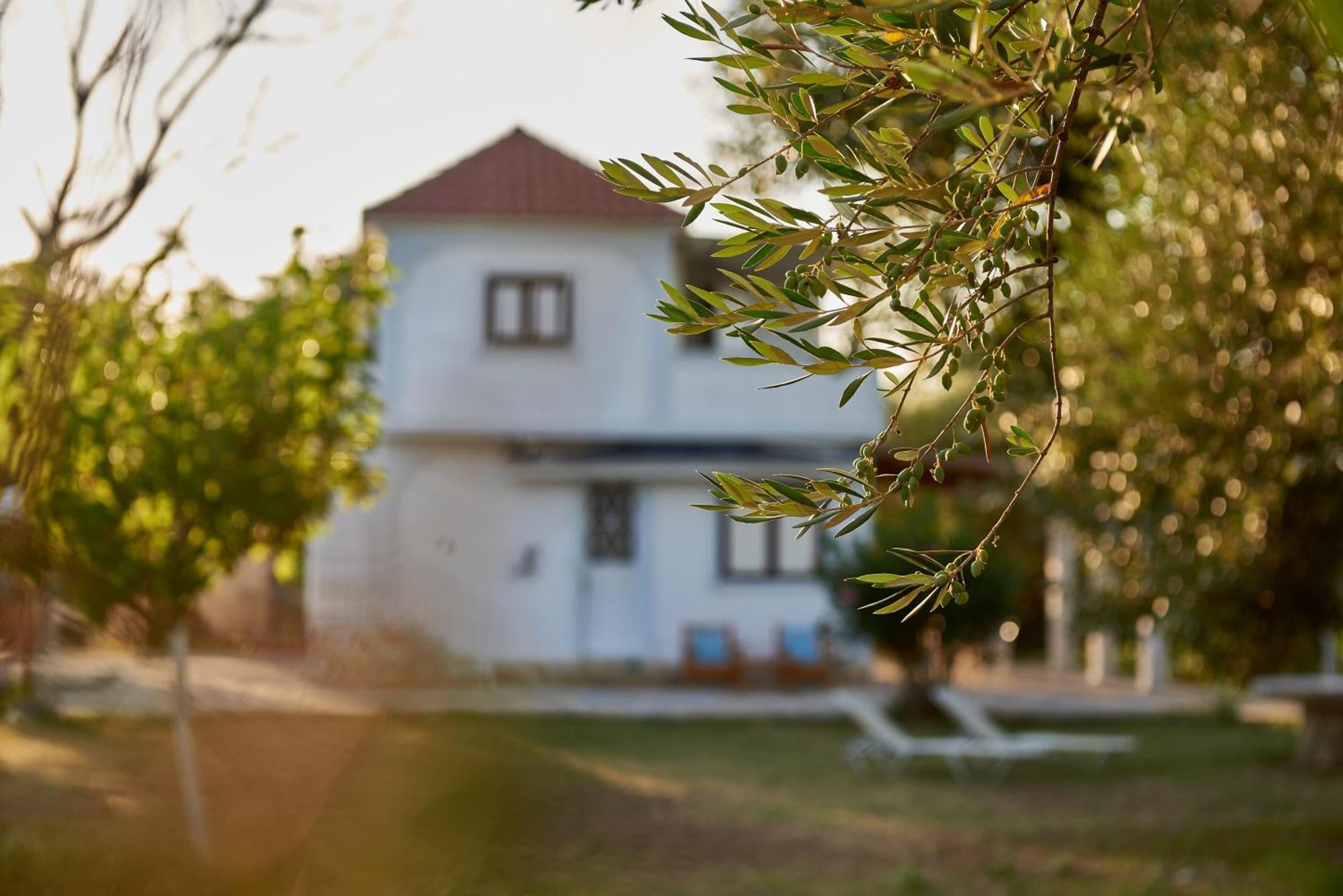 Villa Rania / Zante Drosia Kypseli Exterior foto